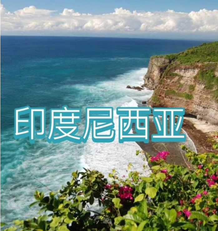 国际电商(印尼)产业博览会冰球突破豪华版