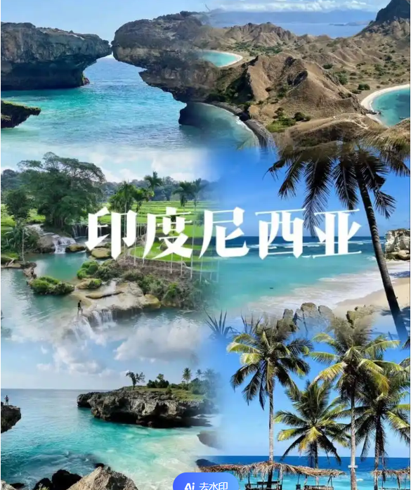 国际电商(印尼)产业博览会冰球突破豪华版2025中国(图3)